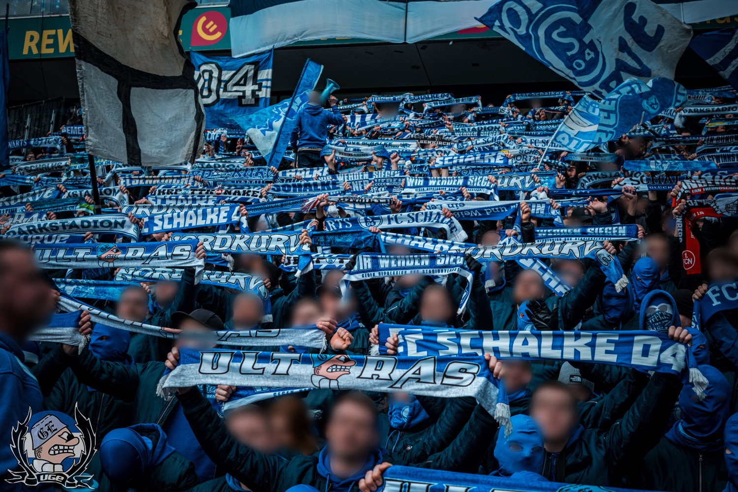 WEB_019_20250209_2BL_21_KOLN_A_JA_095