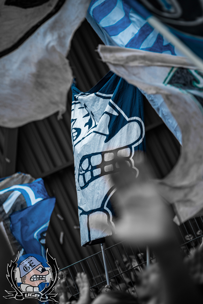 WEB_009_20250413_2BL_29_REG_A_JA_054