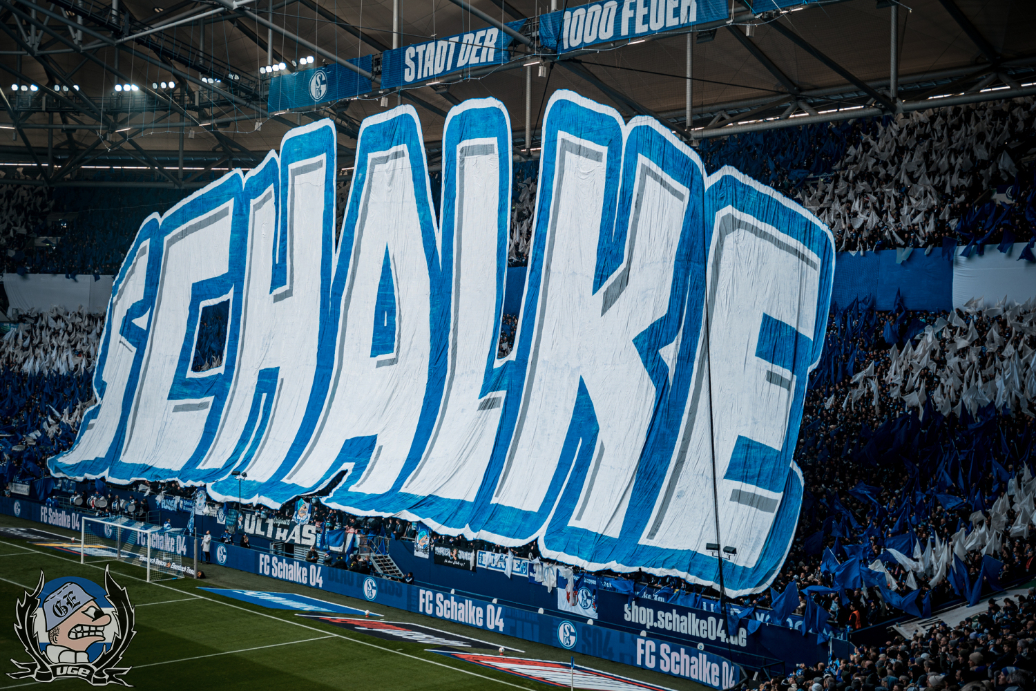 WEB_007_20260125_BL_FCK_H_PK-1010