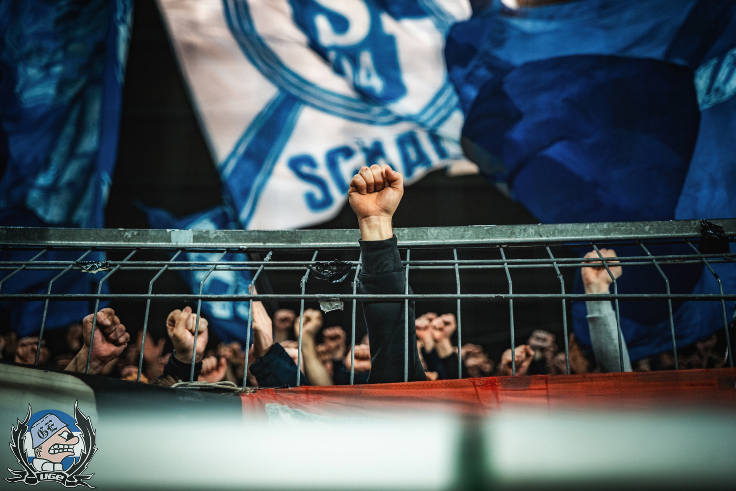 WEB_013_20260228_2BL_24_SGF_A_STB_5585