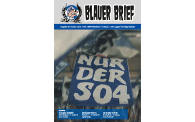 Ausgabe 05: TSG Hoffenheim