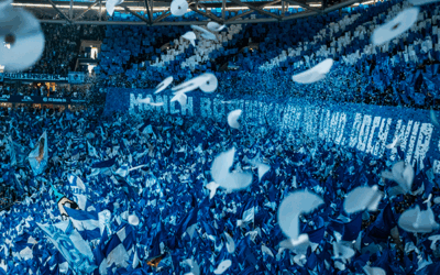 FC Schalke 04 – Hertha BSC