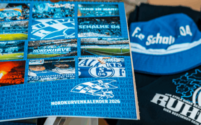 FC Schalke 04 – SV Darmstadt 98