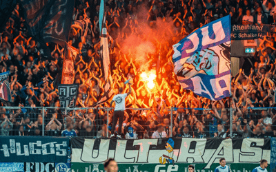Hallescher FC – FC Schalke 04